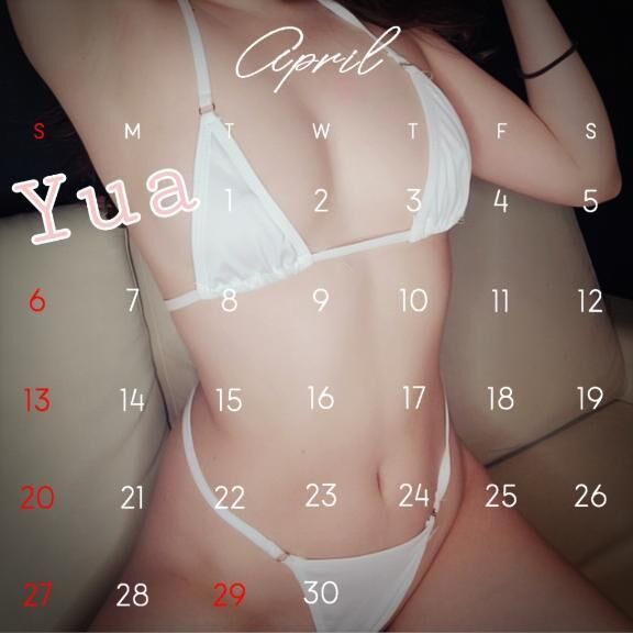 ４月半期予定