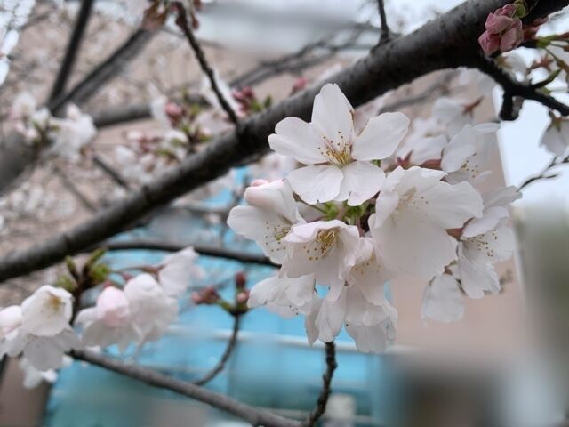 無事に