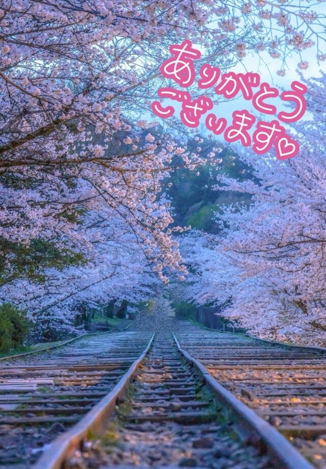 30日(日)のありがとう&#9825;&#9825;