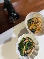 ゼータ