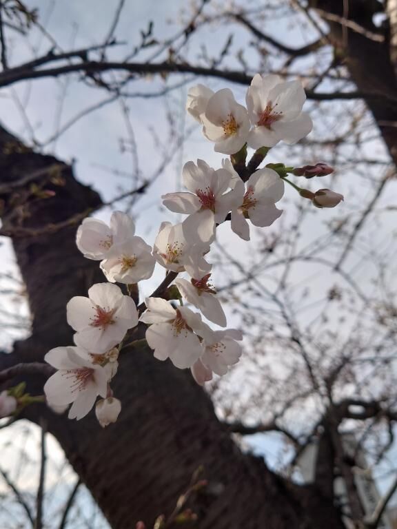こんばんは&#9825;&#9825;