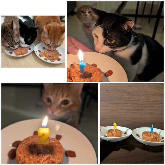 お誕生日でしたっ&#9825;