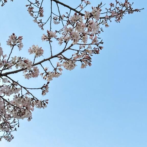 ありがとうございました &#9825;&#9825;&#9825;&#9825;&#9825;