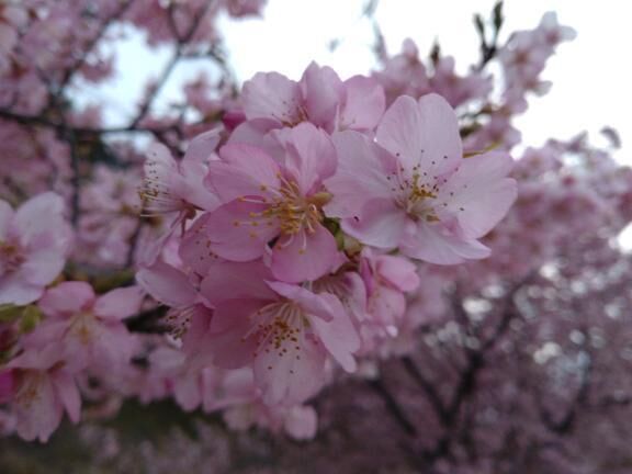 ありがとうございます!(´▽｀)