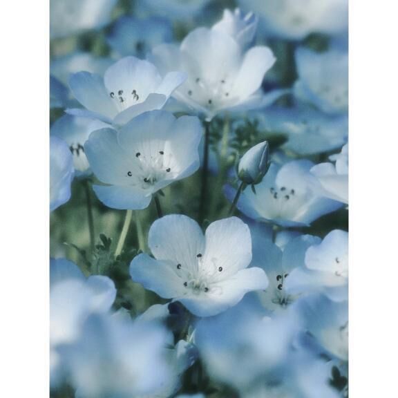 &#9825;Happy New Month &#9825;*゜
