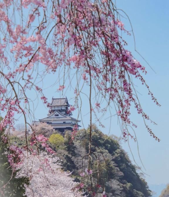おはよう