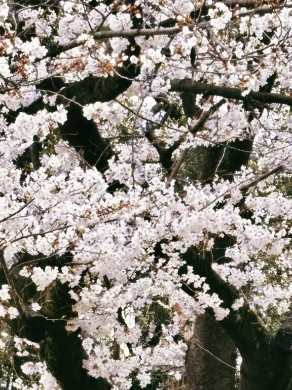 水曜おはようございます&#9825;&#9825;