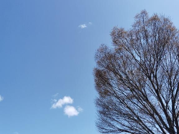 出勤しました。