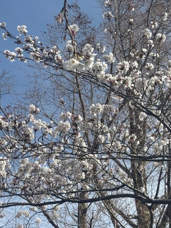 今日