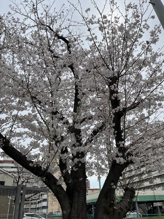 独り占め