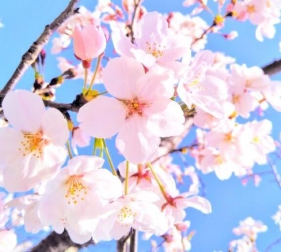 18時…&#9825;