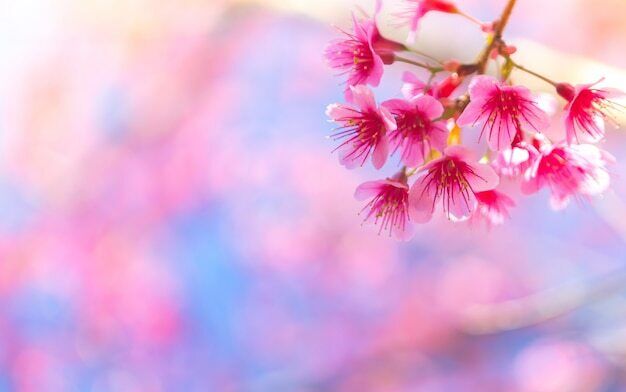 2日(水)　12時20分　&#9825;様