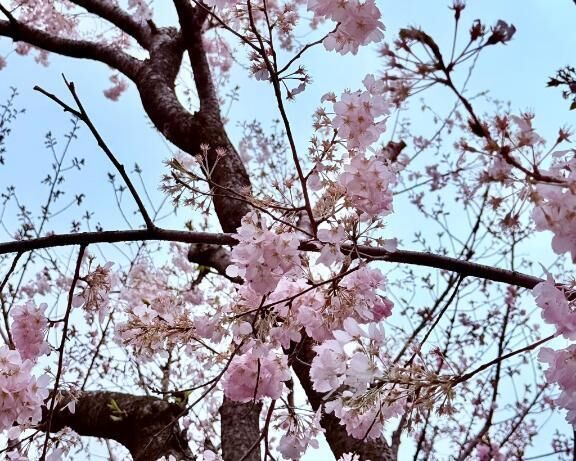 思わず涙&#129402;