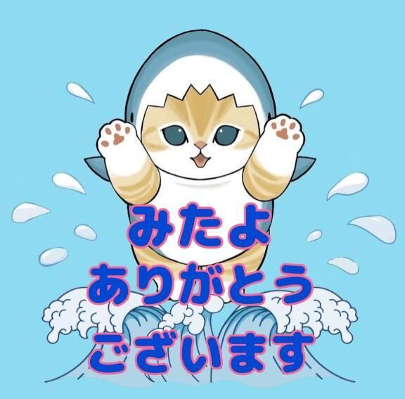 みたよ！