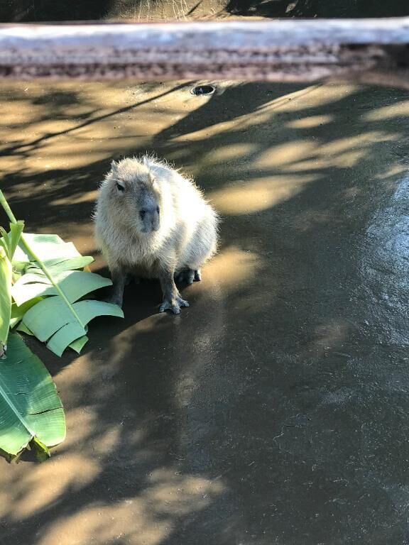 初投稿…(^-^)/