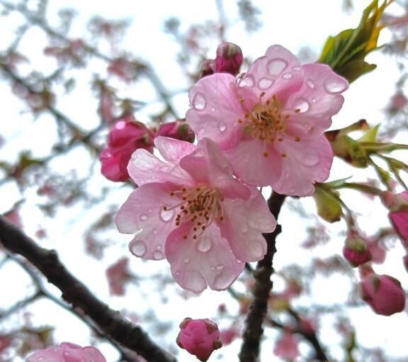 &#128149;ありがとう&#128149;
