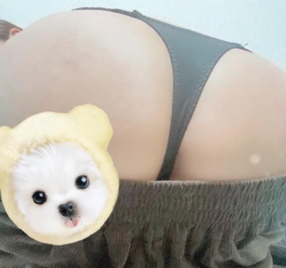おはようございます