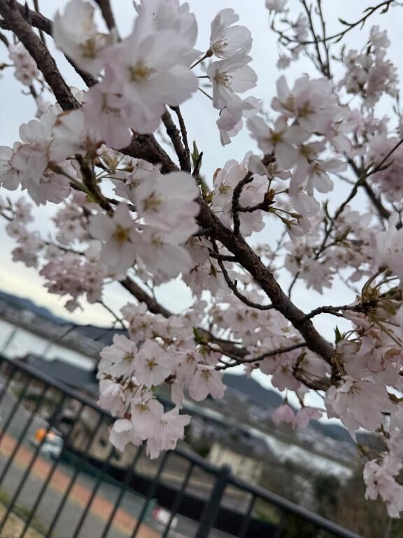 おはよう