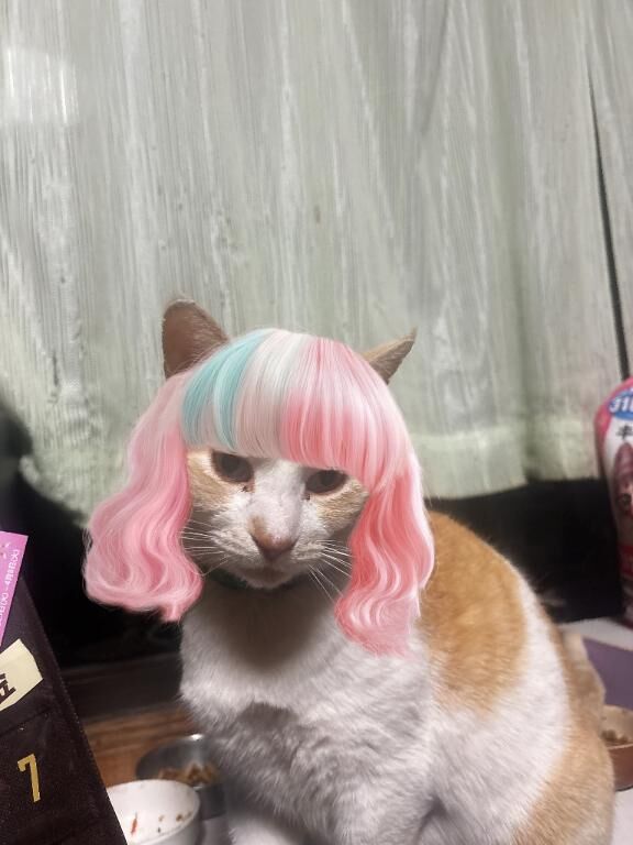 やるたびに