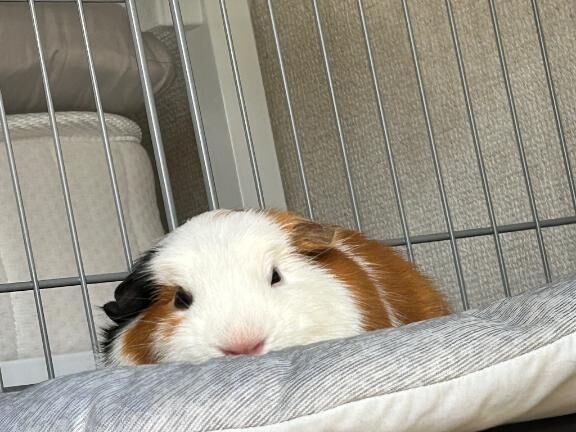 のんびり&#8252;&#65039;