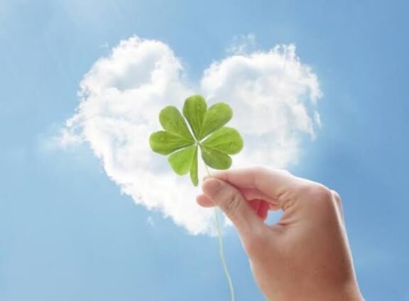 &#127808;お久しぶりです&#127808;