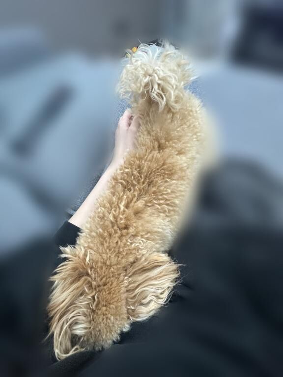 自己紹介&#9825;&#9825;