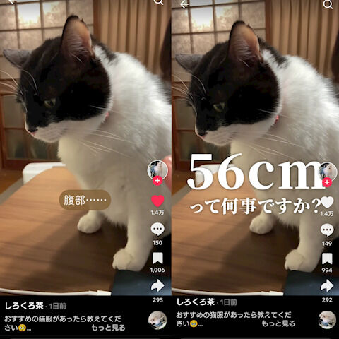 何事なん…