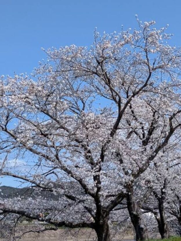 &#10048;明日は楽しみ♪&#10048;