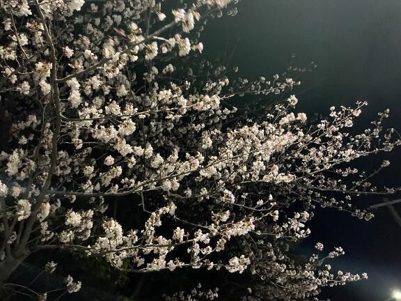 夜…&#127800;