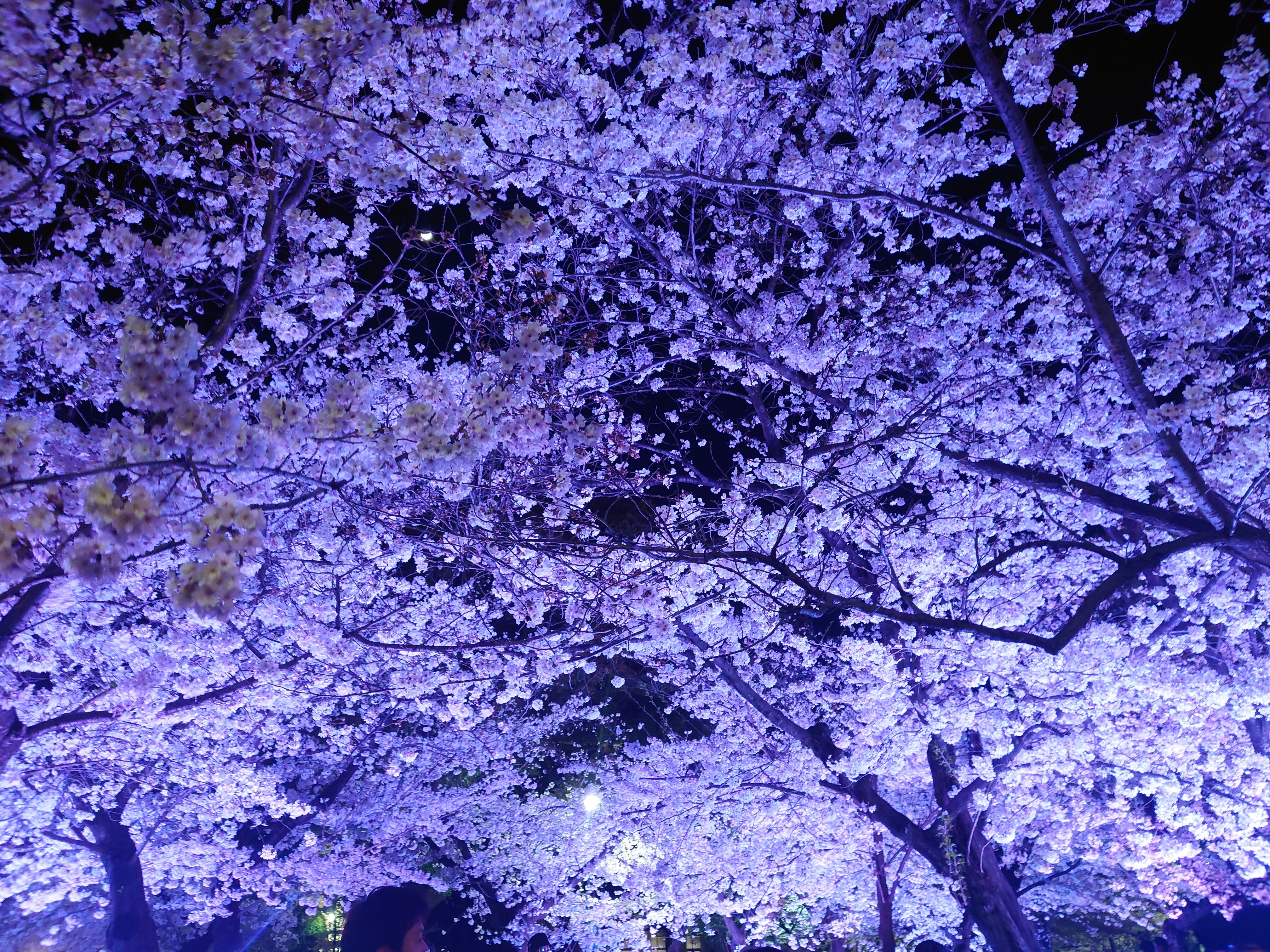 寒すぎたー