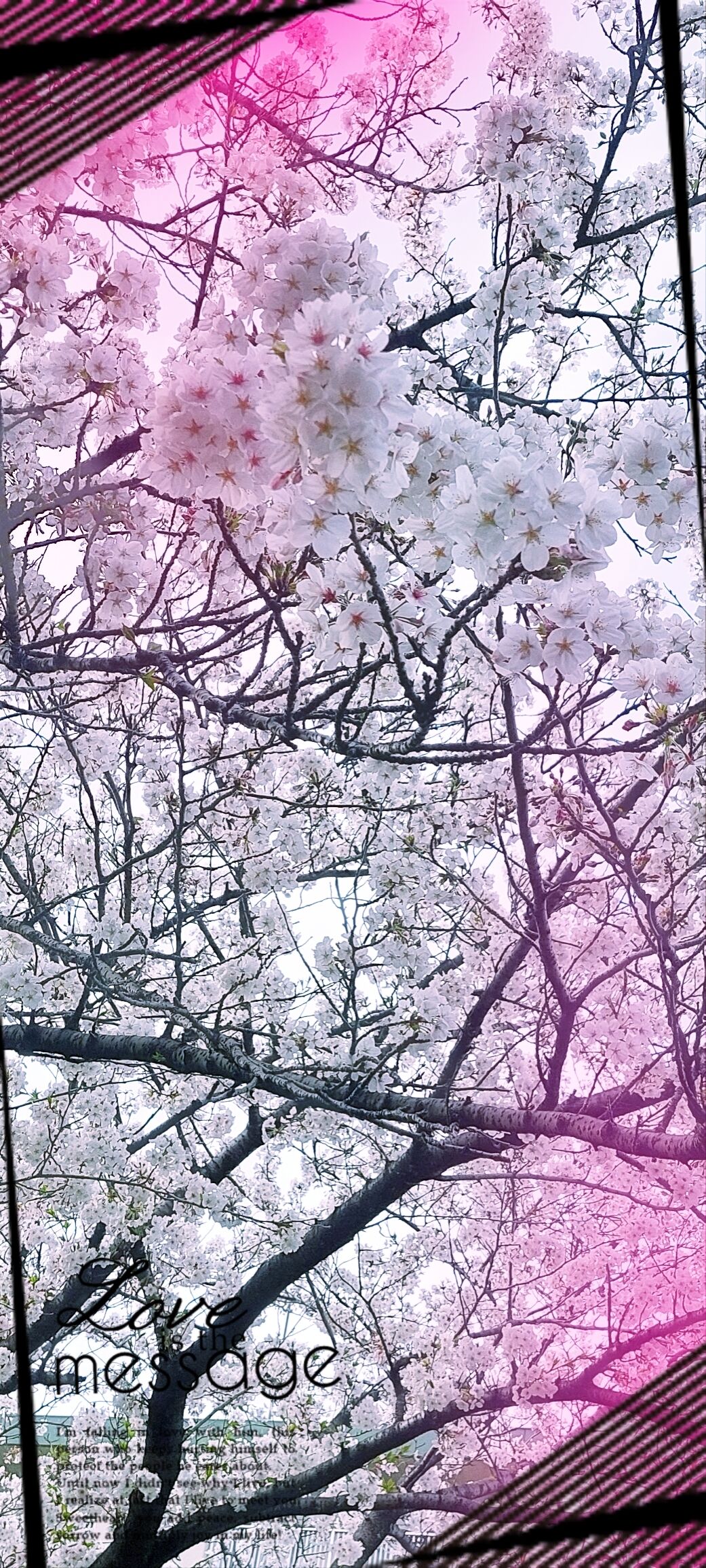 ありがとうございました
