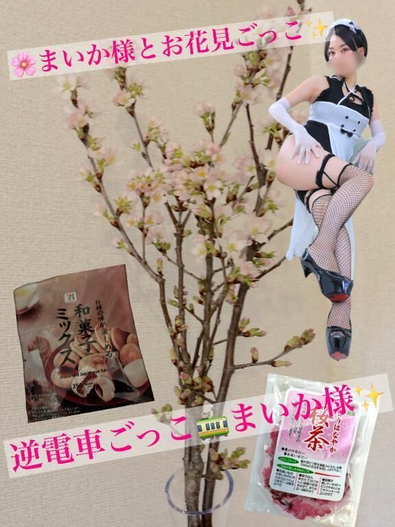 &#10047; まいか様とお花見ごっこ、 今週末だけの特別開催 &#10047;