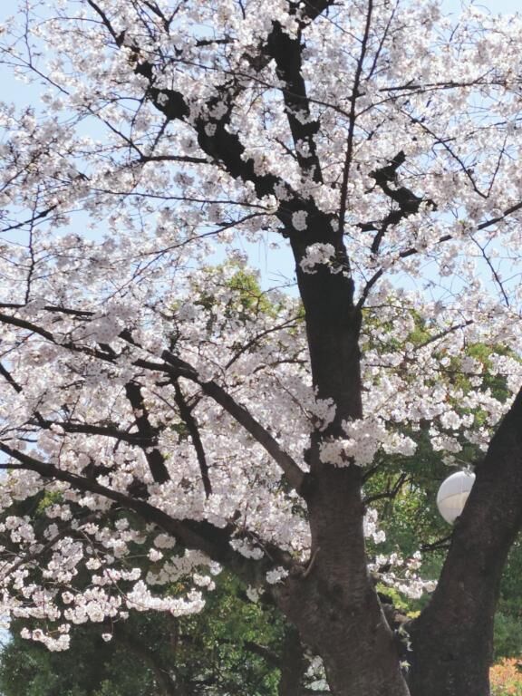 出勤です&#9825;