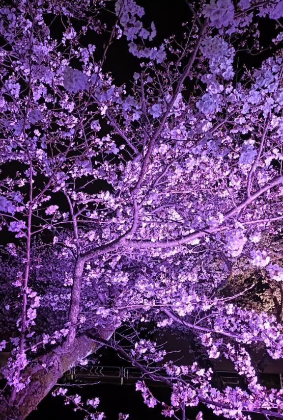 おはようございます&#9825;