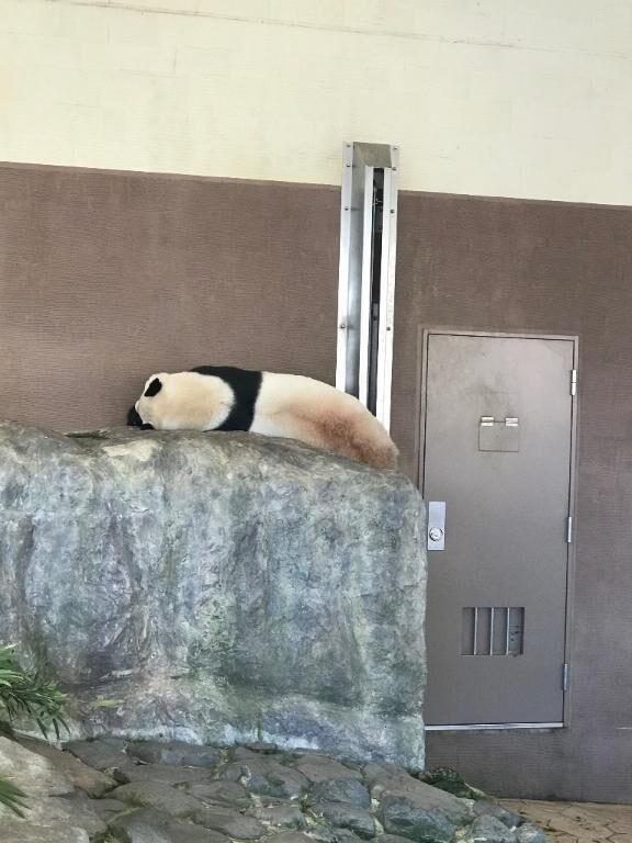 こんにちは。(^-^)
