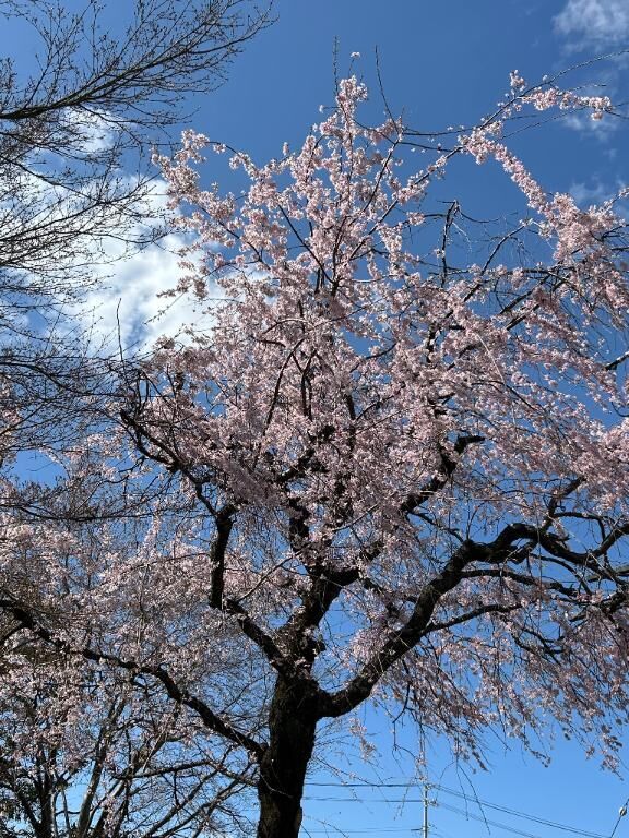 4月START&#9825;