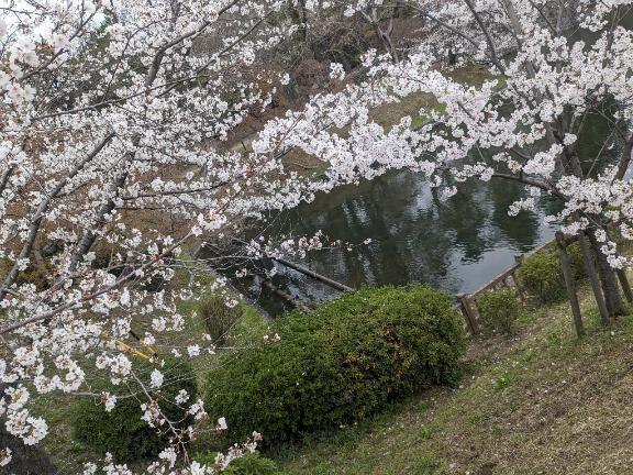 華金ってまだ言うのかな？