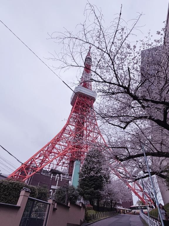 22:30&#x301C;のみ&#127539;&#128147;