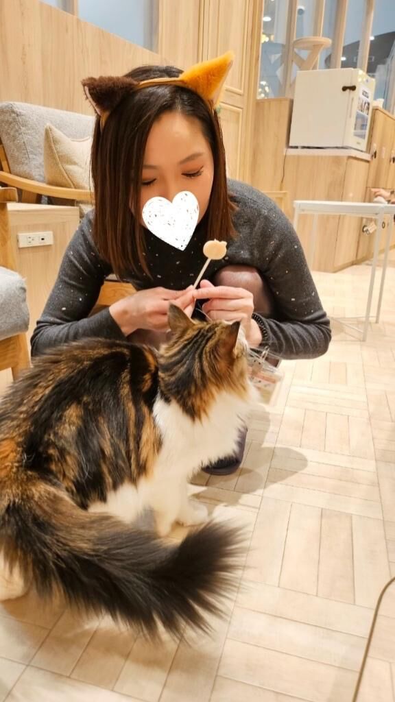 向かってますε＝(((((ﾉ･ω･)ﾉ