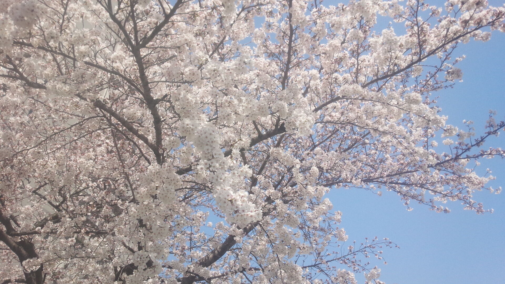 暖かいと
