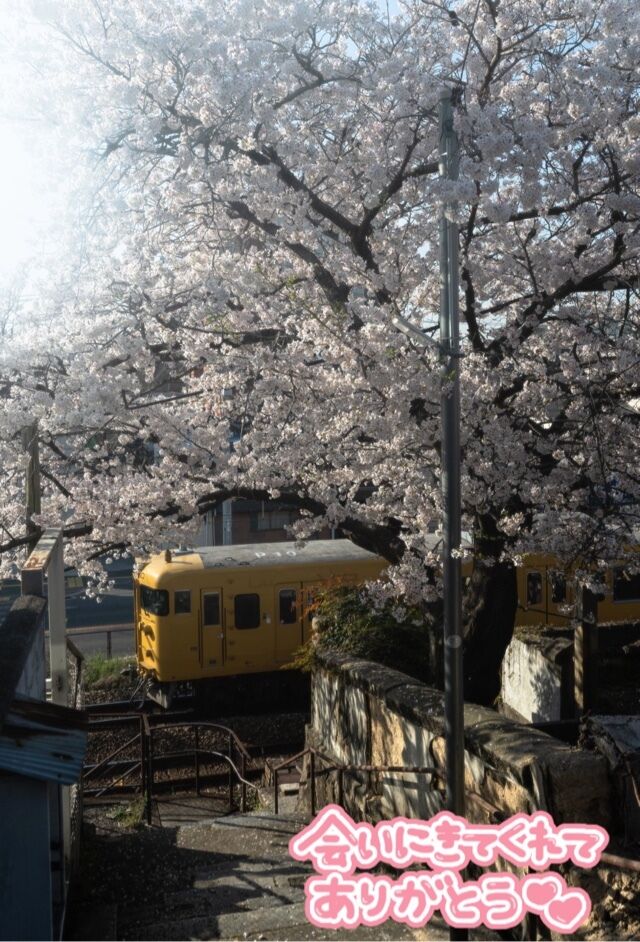 ありがとうございました&#9825;