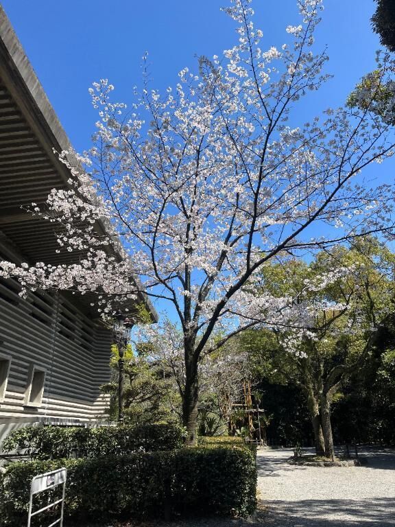 出勤しました&#128171;