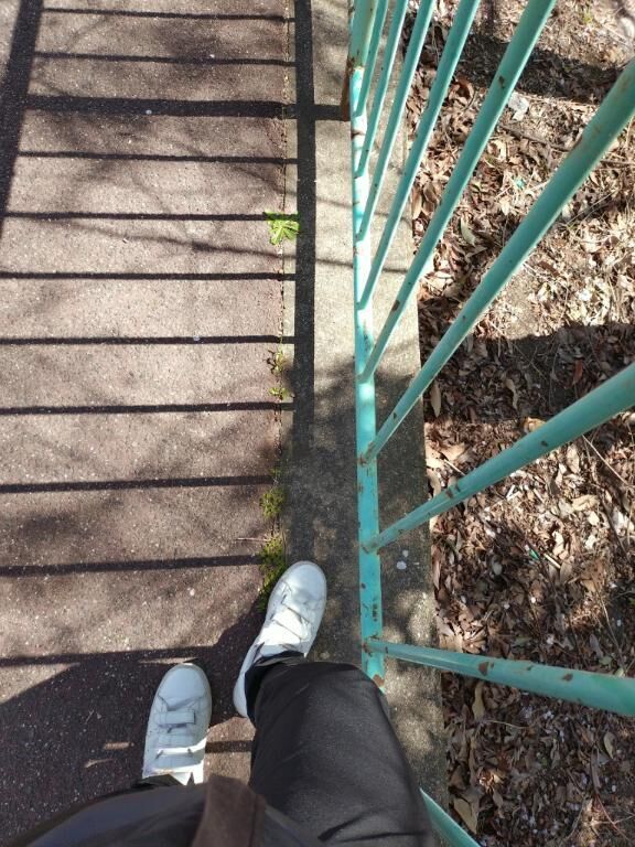 今日も……