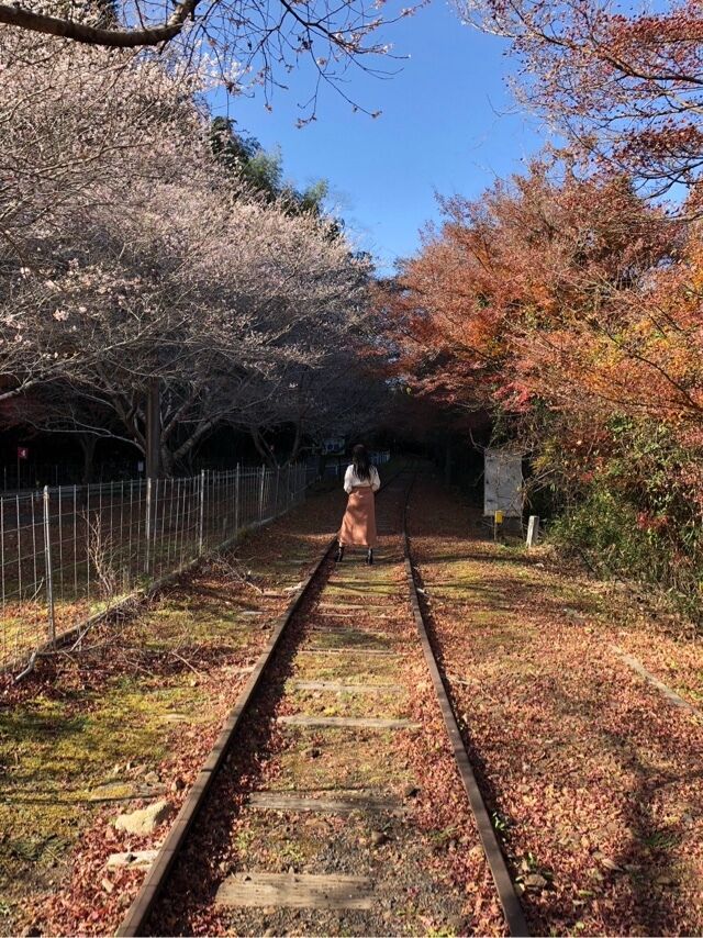 ほたるの人妻川柳日記 (値上げラッシュ)
