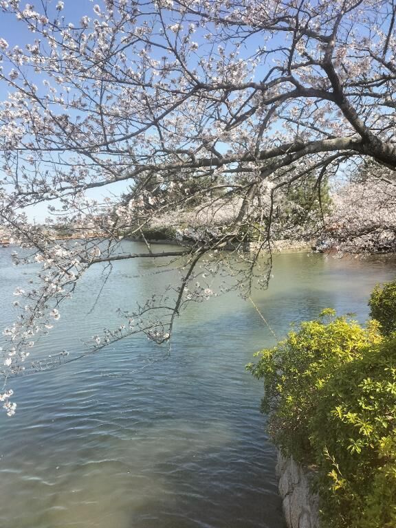 テンプテーション&#128150;