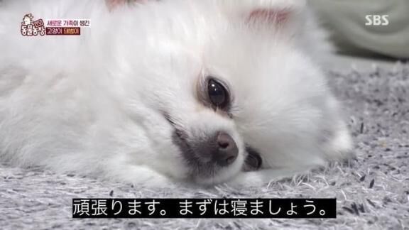 &#9825;ありがとうございました&#9825;