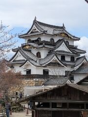 こはる便り・・