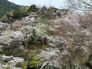 おはよう&#9825;&#9825;