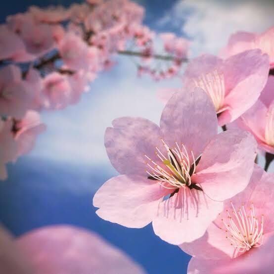出勤&#9825;