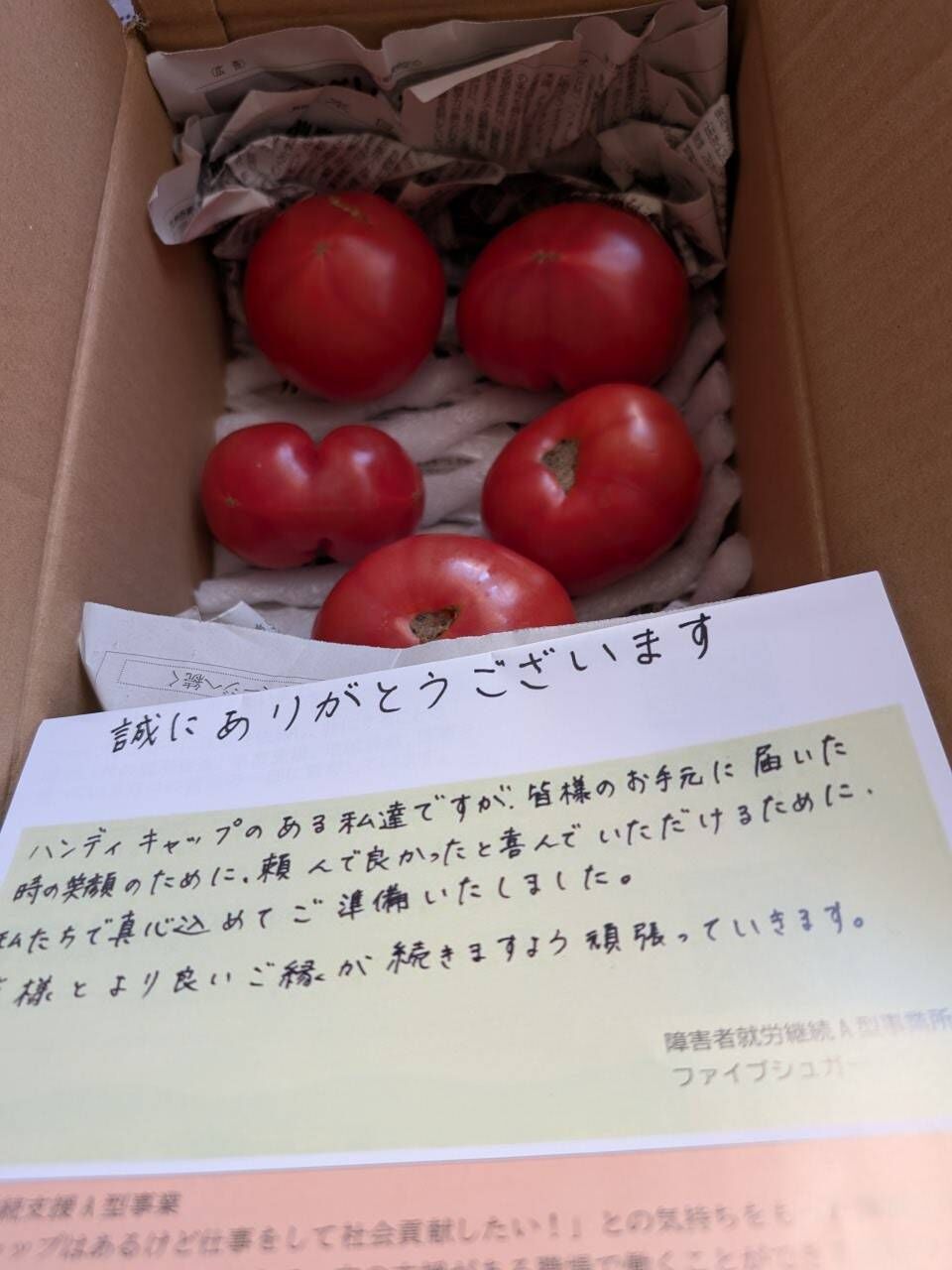 出勤報告️